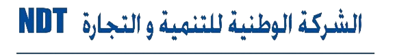 NDT IT Service Portal